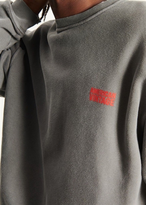 Plizzy oversize sweatshirt Ash American Vintage 